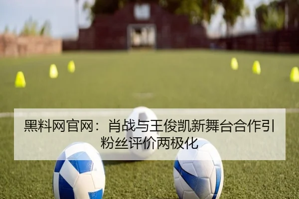 黑料网官网：肖战与王俊凯新舞台合作引粉丝评价两极化